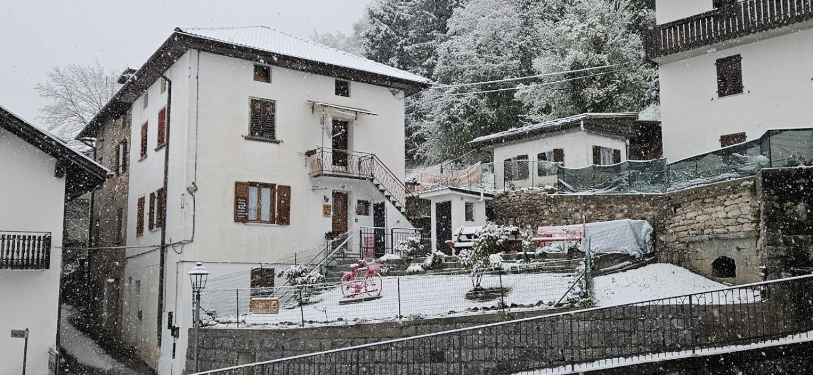 Casa Gaudia *